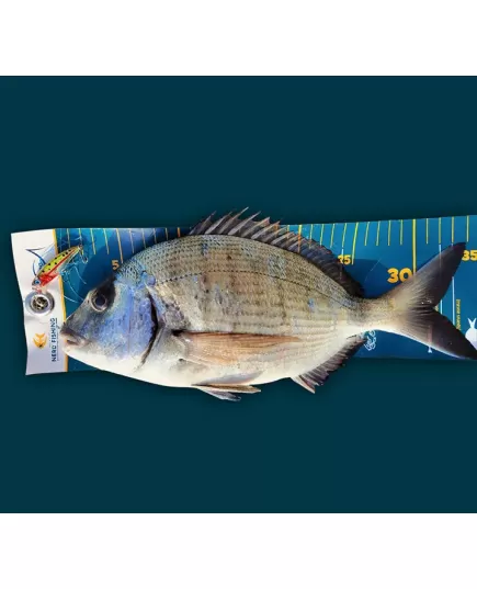 Nerd Fishing Fish Measuring Tape, Length (cm): 50, 3 image