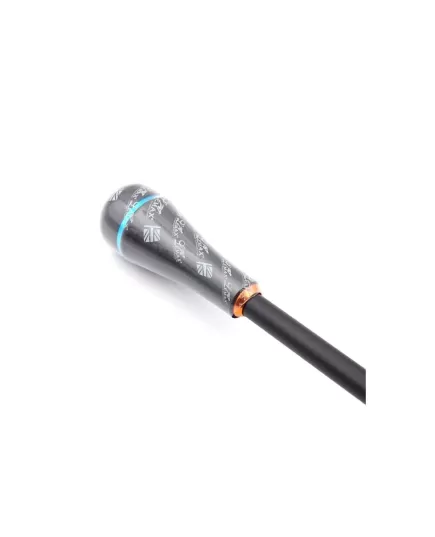 Κορυφή καλαμιού για jigging τεχνικές με πλάνουςΓενική άποψη του καλαμιού Lemax Jurastik 1.60m