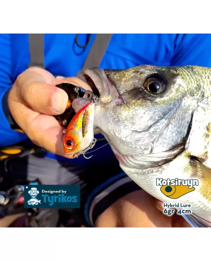 Fish Lure Nerd Fishing Kotsiruyn 6gr Kakarelaki Handpainted, Length (cm): 4, 6 image