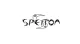 Spetton diving masks and spearfishing gear designed for underwater visibility comfort and durability